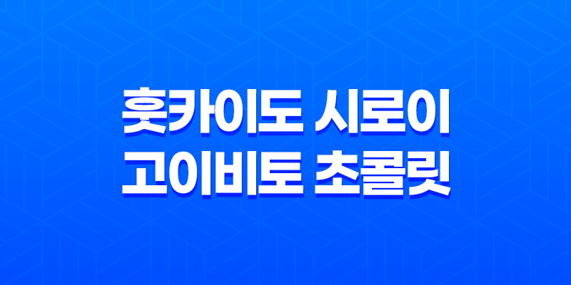 훗카이도 시로이 고이비토 초콜릿 : 홋카이도 명물 디저트 7