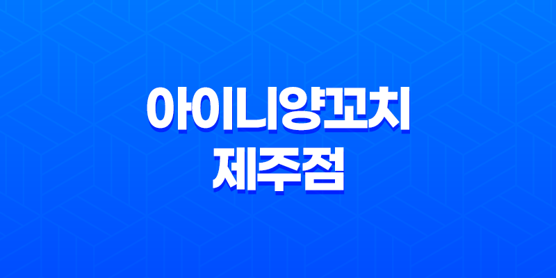 제주 맛집 추천 : 아이니양꼬치 제주점 8 제주 맛집 추천 : 아이니양꼬치 제주점 7