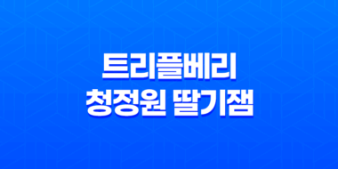 트리플베리 청정원 딸기잼, 상큼한 딸기 맛으로 아침 식사의 완벽한 파트너 54