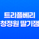 트리플베리 청정원 딸기잼, 상큼한 딸기 맛으로 아침 식사의 완벽한 파트너 30 트리플베리 청정원 딸기잼, 상큼한 딸기 맛으로 아침 식사의 완벽한 파트너 29