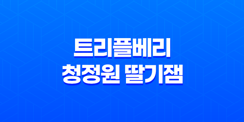 트리플베리 청정원 딸기잼, 상큼한 딸기 맛으로 아침 식사의 완벽한 파트너 8 트리플베리 청정원 딸기잼, 상큼한 딸기 맛으로 아침 식사의 완벽한 파트너 7