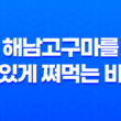 해남고구마를 맛있게 쪄먹는 비결 31