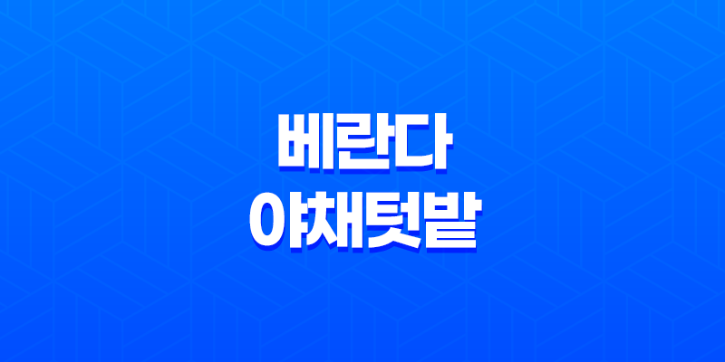 베란다 야채텃밭을 가꾸면서 청경채를 키우는 기쁨! 7 현재 이미지는 대체 텍스트가 없습니다. 파일 이름: image-685.png