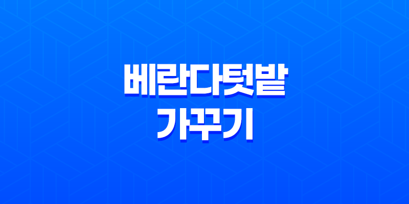 베란다텃밭 가꾸기(+ 초보자를 위한 텃밭 시작하기) 8 베란다텃밭 가꾸기(+ 초보자를 위한 텃밭 시작하기) 7