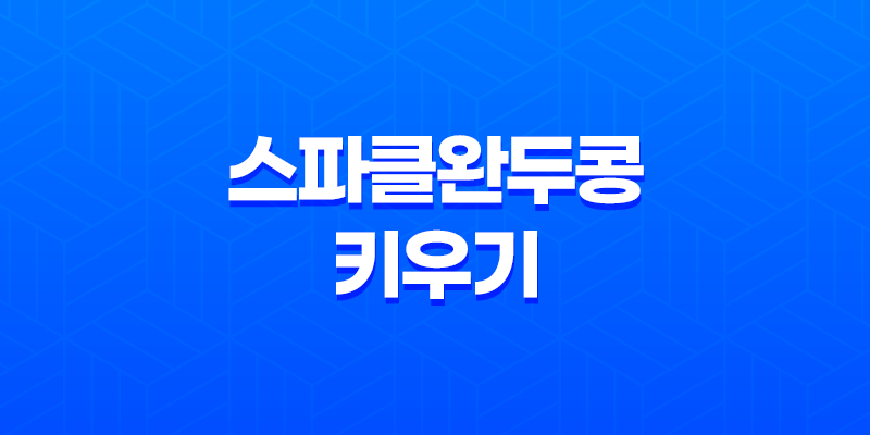 베란다텃밭 스파클완두콩 키우기(+ 작은 공간에서의 푸짐한 수확!) 8 베란다텃밭 스파클완두콩 키우기(+ 작은 공간에서의 푸짐한 수확!) 7