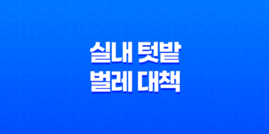 실내 텃밭 벌레 대책(+ 초심자를 위한 실내 재배 방법!) 77