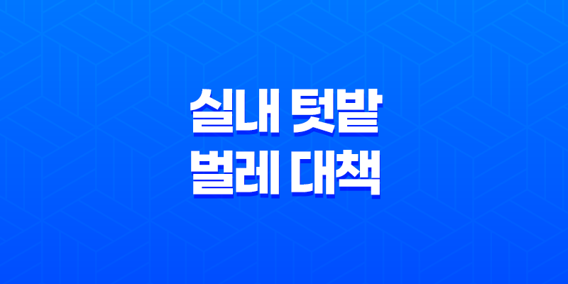 실내 텃밭 벌레 대책(+ 초심자를 위한 실내 재배 방법!) 8 실내 텃밭 벌레 대책(+ 초심자를 위한 실내 재배 방법!) 7