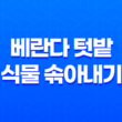 베란다 텃밭 식물 솎아내기 노하우와 팁 45