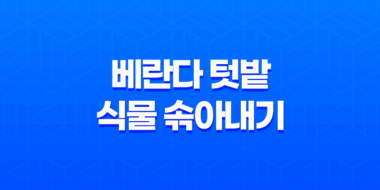 베란다 텃밭 식물 솎아내기 노하우와 팁 27
