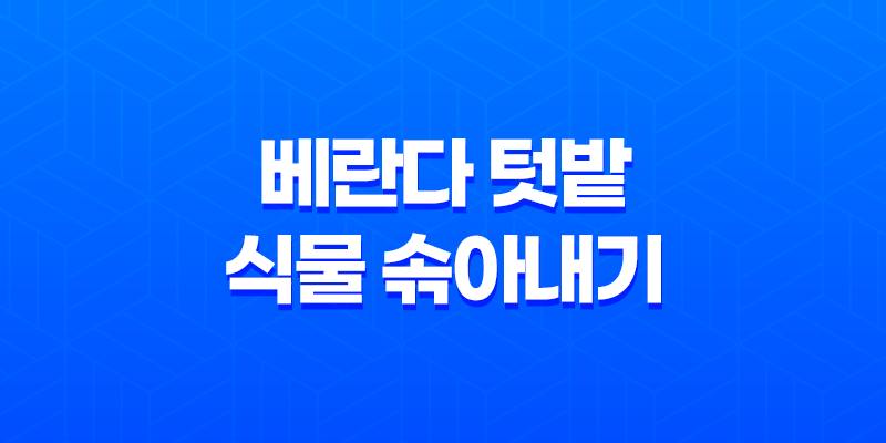베란다 텃밭 식물 솎아내기 노하우와 팁 7