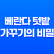 베란다 텃밭 가꾸기의 비밀(+ 초보자를 위한 단계별 안내) 35