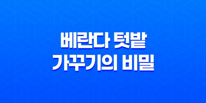 베란다 텃밭 가꾸기의 비밀(+ 초보자를 위한 단계별 안내) 8 베란다 텃밭 가꾸기의 비밀(+ 초보자를 위한 단계별 안내) 7