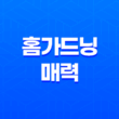 홈가드닝의 매력(+ 농부의 마음과 삶에 생명을 불어넣다!) 35