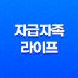베란다 텃밭에서 토마토, 오이, 청경채, 상추를 키우며 자급자족 라이프를 즐기다! 31