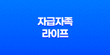 베란다 텃밭에서 토마토, 오이, 청경채, 상추를 키우며 자급자족 라이프를 즐기다! 35