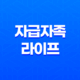 베란다 텃밭에서 토마토, 오이, 청경채, 상추를 키우며 자급자족 라이프를 즐기다! 31