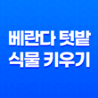 베란다 텃밭 식물 키우기(+ 성공을 위한 필수 팁과 경험 공유) 31