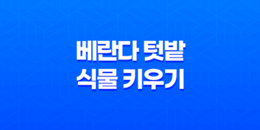 베란다 텃밭 식물 키우기(+ 성공을 위한 필수 팁과 경험 공유) 27