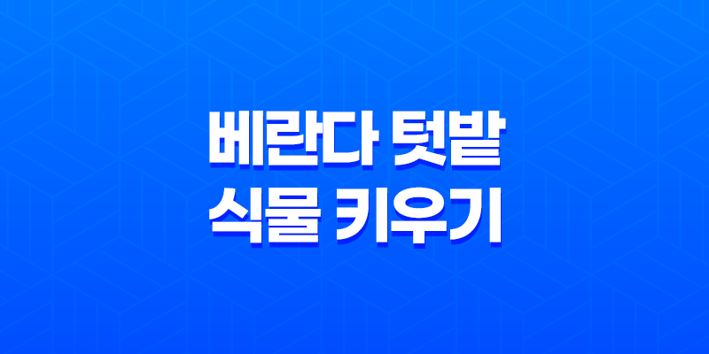 베란다 텃밭 식물 키우기(+ 성공을 위한 필수 팁과 경험 공유) 8 베란다 텃밭 식물 키우기(+ 성공을 위한 필수 팁과 경험 공유) 7