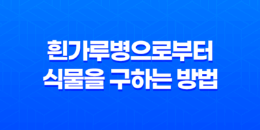 흰가루병으로부터 식물을 구하는 방법 43