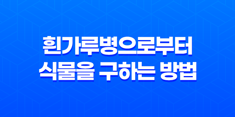 흰가루병으로부터 식물을 구하는 방법 8 흰가루병으로부터 식물을 구하는 방법 7