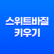 스위트바질 키우기(+ 베란다텃밭에서 스위트 바질을 성공적으로 키우는 방법!) 31