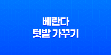 베란다에서의 텃밭 가꾸기(+ 한 달 변화와 관리 요령!) 61