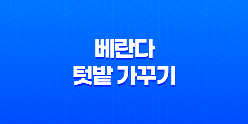 베란다에서의 텃밭 가꾸기(+ 한 달 변화와 관리 요령!) 8 베란다에서의 텃밭 가꾸기(+ 한 달 변화와 관리 요령!) 7