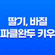 베란다텃밭에서 딸기, 바질, 스파클완두 키우기 19