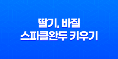 베란다텃밭에서 딸기, 바질, 스파클완두 키우기 49