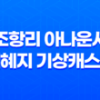 유명한 방송인 조항리 아나운서와 배혜지 기상캐스터의 화려한 결혼식 83