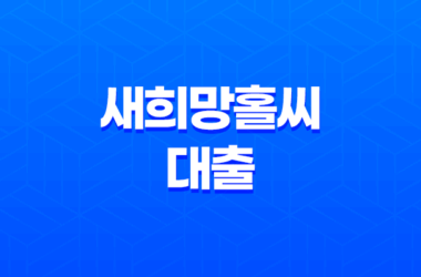 신용 대출 옵션, 새희망홀씨 대출의 모든 것 29