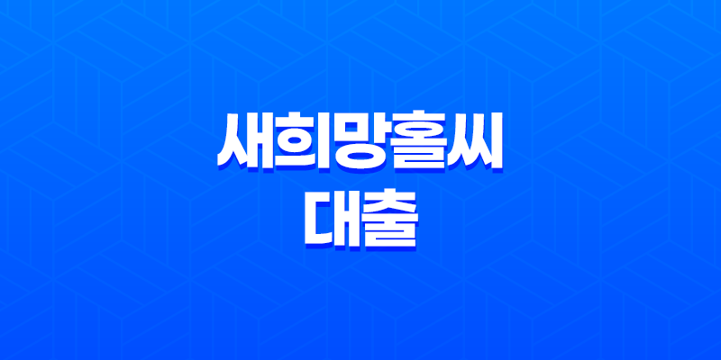 신용 대출 옵션, 새희망홀씨 대출의 모든 것 7