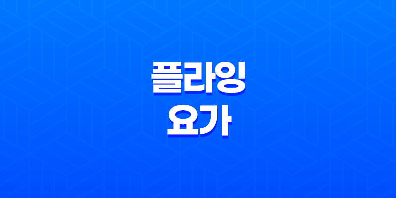 플라잉 요가의 놀라운 효과와 장점(+ 균형, 근력, 유연성 향상의 비밀!) 8 플라잉 요가의 놀라운 효과와 장점(+ 균형, 근력, 유연성 향상의 비밀!) 7