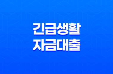 긴급생활자금대출 소액생계비 지원 사업 9