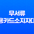 여성을 위한 무서류 신용카드소지자대출의 혜택과 조건 23