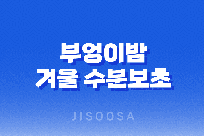 부엉이밤, 겨울 수분보초로 피부를 지켜보세요! 1