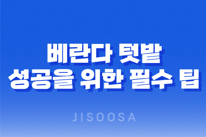 베란다 텃밭 식물 키우기 : 성공을 위한 필수 팁과 경험 공유 1