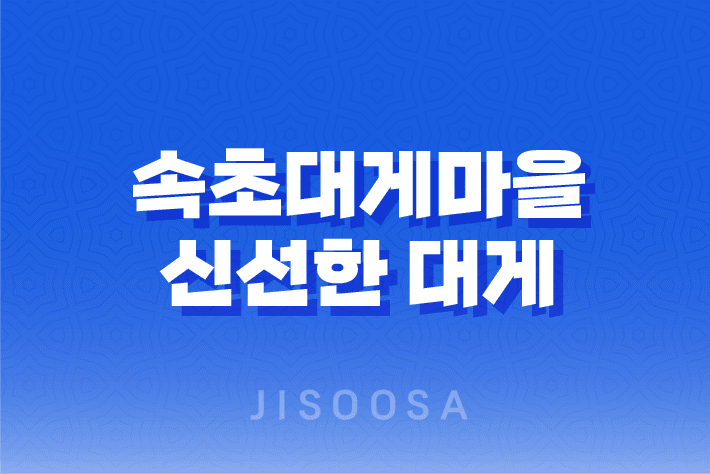 속초대게마을 : 신선한 대게와 해산물의 향연 1