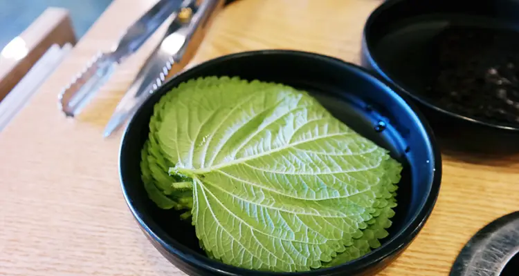 송쭈집, 송도 맛집의 건강한 쭈꾸미 맛의 비밀 7