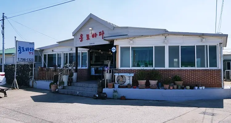 제주 한림 횟집 - 옹포바다에서 맛있는 횟을 즐겨보세요 3