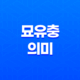 묘유충에 대해서 알아보자! 15