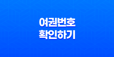 온라인으로 간편하게 여권번호 확인하기(+ 정부24를 활용한 무료 조회 방법) 43