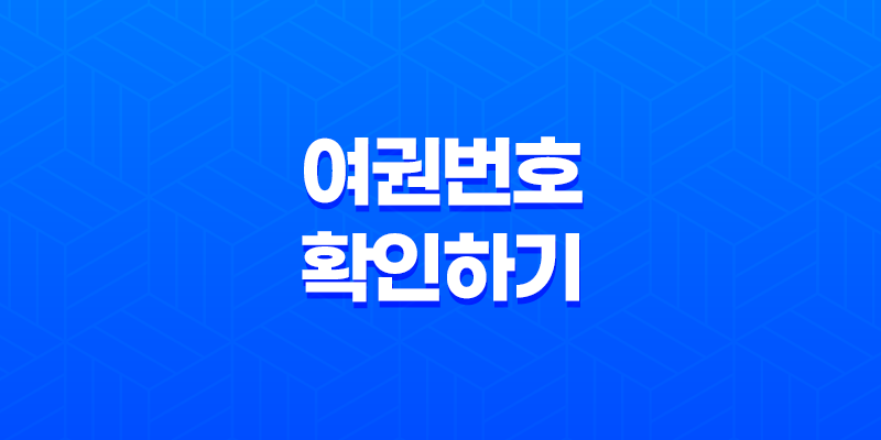 온라인으로 간편하게 여권번호 확인하기(+ 정부24를 활용한 무료 조회 방법) 8 온라인으로 간편하게 여권번호 확인하기(+ 정부24를 활용한 무료 조회 방법) 7