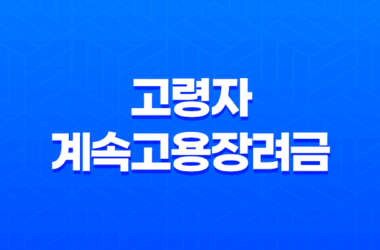 고령자 계속고용장려금 지원 대상 및 기간 신청 방법 알아보기 25