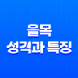을목의 심리와 성격과 특징(+ 갑목과 비교) 15