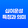 십이운성(12운성)의 특징과 의미 17