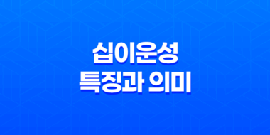 십이운성(12운성)의 특징과 의미 39