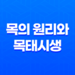 목(木)의 원리와 목태시생(木太始生) 21