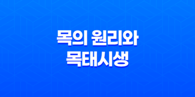 목(木)의 원리와 목태시생(木太始生) 55
